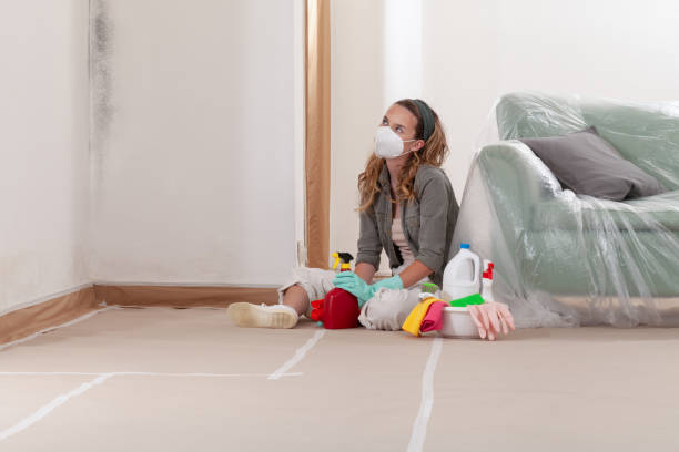 Reliable Commercial Mold Remediation contractor in Boulder, CO by WQB Mold Removal